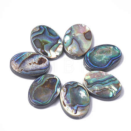 Abalone Shell/Paua Shell Beads SSHEL-T008-14-1