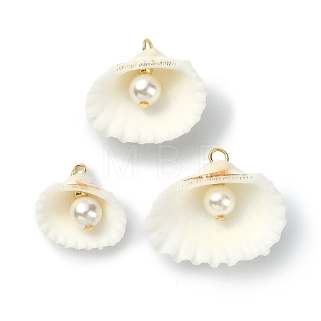 Natural Shell Pendants PALLOY-TA00079-1