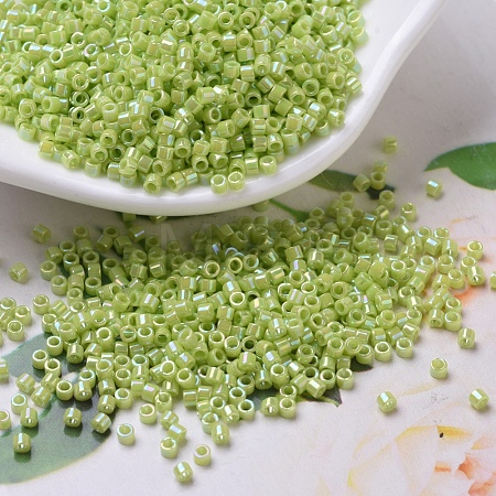 MIYUKI Delica Beads Small X-SEED-J020-DBS0169-1