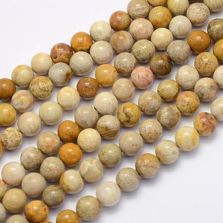 Natural Fossil Coral Beads Strands G-G697-F01-8mm-1
