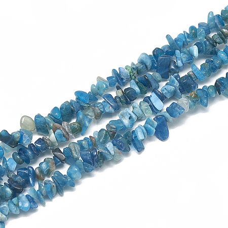 Natural Apatite Beads Strands X-G-S315-24-1