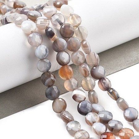 Natural Botswana Agate Beads Strands G-C179-A18-02-1