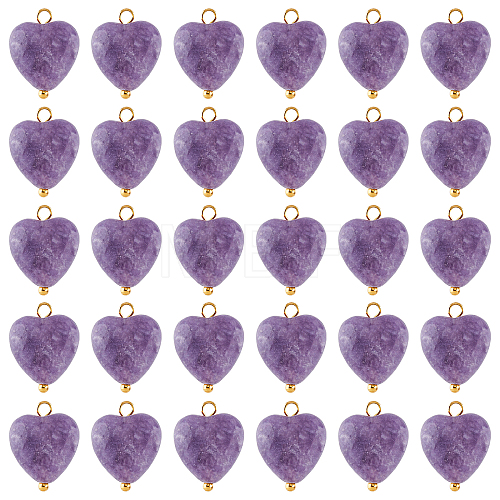 30Pcs Natural Lepidolite/Purple Mica Stone Pendants FIND-FH0004-65-1