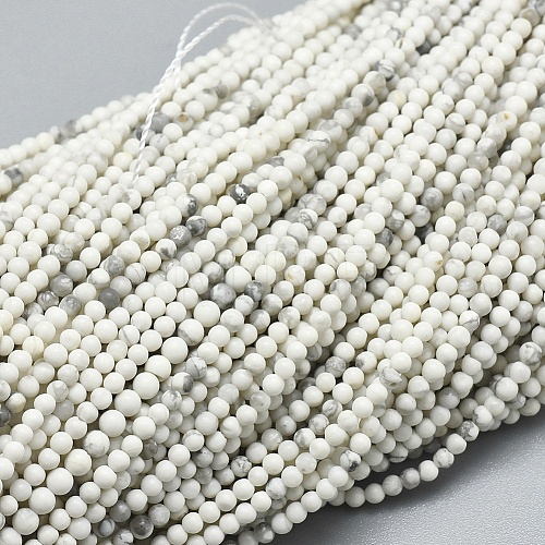 Natural Howlite Beads Strands G-A177-04-24-1