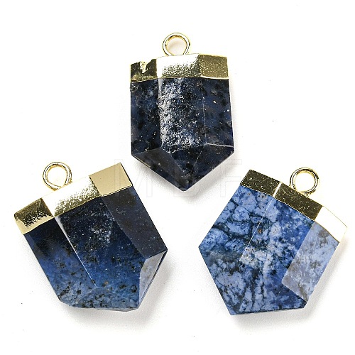 Natural Sodalite Pointed Pendants G-M431-05G-07-1