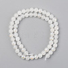 Electroplated Natural White Moonstone Beads Strands G-S369-012B-C-2