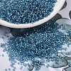 MIYUKI Delica Beads SEED-MY11-DB2383-1