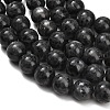 Natural Larvikite Beads Strands GSR16mmC128-3