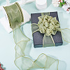Polyester Mesh Ribbon SRIB-TAC0002-29A-01-7