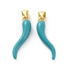 Rack Plating Brass Enamel Charms KK-C008-19G-02-1