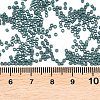 MIYUKI Delica Beads SEED-X0054-DB2407-3