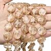 Coffee Watermelon Stone Glass Beads Strands G-A292-A04-01-2