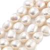 Natural Cultured Freshwater Pearl Beads Strands PEAR-P062-30B-2