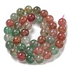 Natural Red and Green Strawberry Quartz Beads Strands G-B099-C03-06-3