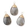 Natural Labradorite Pendants PALLOY-JF05086-02-1