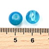Baking Paint Glass Beads DGLA-XCP0001-27-3