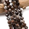 Natural Petrified Wood Beads Strands G-Z119-A21-02-1