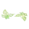 Transparent Plastic Pendants KY-N025-44D-2