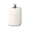 Non-Tarnish 304 Stainless Steel Pendants STAS-C062-09P-2