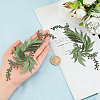2Pcs 2 Styles Flower Computerized Embroidery Cloth Iron on Sew on Patches DIY-GF0014-67-3