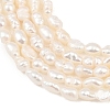 Natural Cultured Freshwater Pearl Beads Strands PEAR-F020-14-4