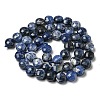 Natural Sodalite Beads Strands G-K351-A03-02-3