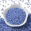 Baking Paint Glass Seed Beads SEED-S042-15A-12-2