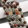 Natural Four Seasons Lodolite Quartz Beads Strands G-Z063-A02-03-2