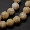 Natural Sea Shell Round Bead Strands SSHEL-M013-8mm-02-2