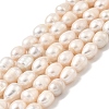 Natural Cultured Freshwater Pearl Beads Strands PEAR-I007-01F-02A-2