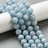 Dyed Natural Malaysia Jade Beads Strands G-G021-02C-20-4