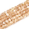 Natural Trochid Shell/Trochus Shell Beads Strands BSHE-T014-52B-01-1