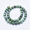 Natural African Turquoise(Jasper) Beads Strands G-E444-47-10mm-2