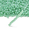 TOHO 6/0 Round Beads X-SEED-TR06-0144-2