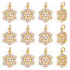 12Pcs Brass Micro Pave Cubic Zirconia Pendants KK-ME0004-66-1