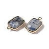 Natural Blue Spot Jasper Faceted Pendants G-Q169-06G-02-2