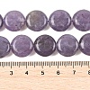 Natural Lepidolite/Purple Mica Stone Beads Strands G-L648-B09-15mm-6