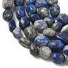 Natural Lapis Lazuli Beads Strands G-C286-A06-3