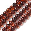 Natural Amber Beads Strands G-K387-D01-01-2