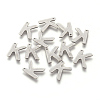 304 Stainless Steel Charms STAS-F175-02P-K-2