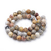 Natural Crazy Lace Agate Beads Strands G-S259-38-10mm-2