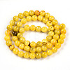 Natural Persian Jade Beads Strands G-A255-A02-01I-2