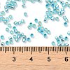 Glass Seed Beads SEED-S042-04B-23-4