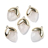 Natural Gemstone Pendants G-U019-03B-2