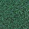 MIYUKI Round Rocailles Beads SEED-X0054-RR0173-2