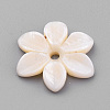 Natural Freshwater Shell Beads SHEL-S269-32-2