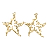 Alloy Big Pendants X1-FIND-Z095-10G-1