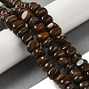 Natural Tiger Iron Beads Strands G-B078-D06-03-2