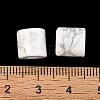 Natural Howlite Beads G-I395-B04-3