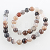 Dyed & Heated Natural Agate Round Beads Strands G-E230-01-10mm-2